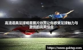 弗拉格11分怀特22分多森姆20+8 公牛胜独行侠止3连败